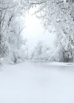 Gamta Žiemą Baltas Sniegas Medis Fotografijos Backdrops Foto Rekvizitai Studija Fone 5x7ft